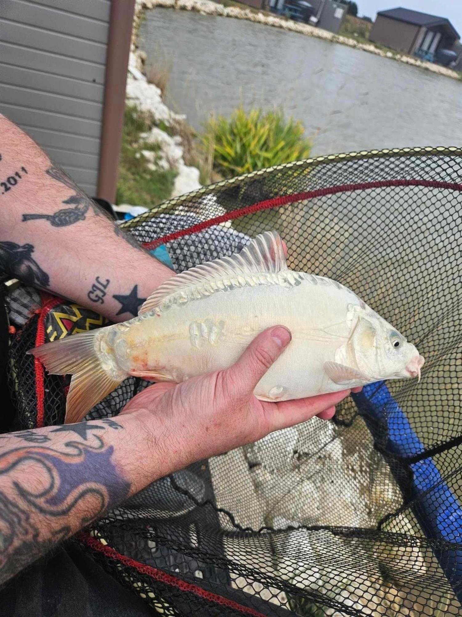 Lakeside Fishing Retreats Boston Quarto foto