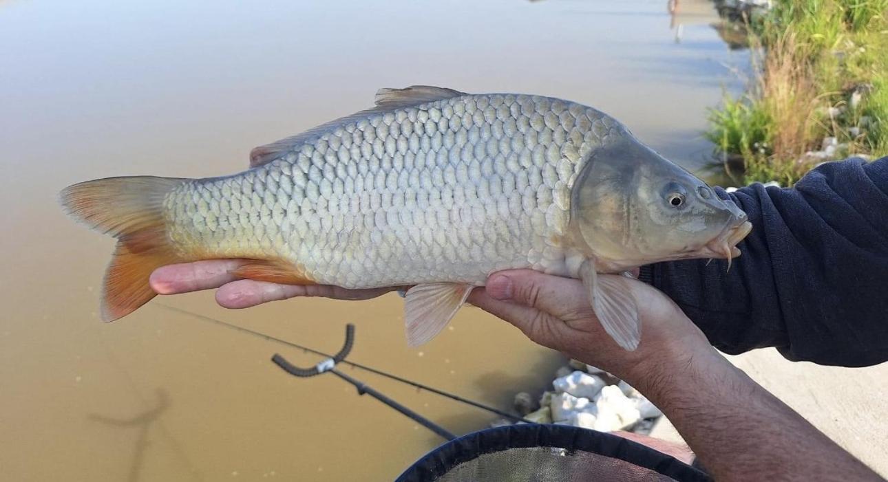 Lakeside Fishing Retreats Boston Quarto foto